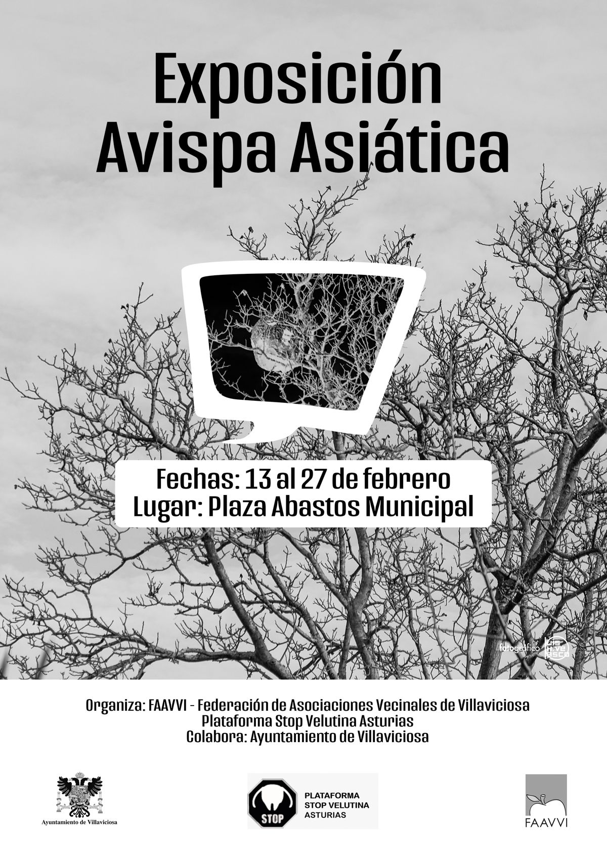 Carteles personalizados para eventos y tiendas