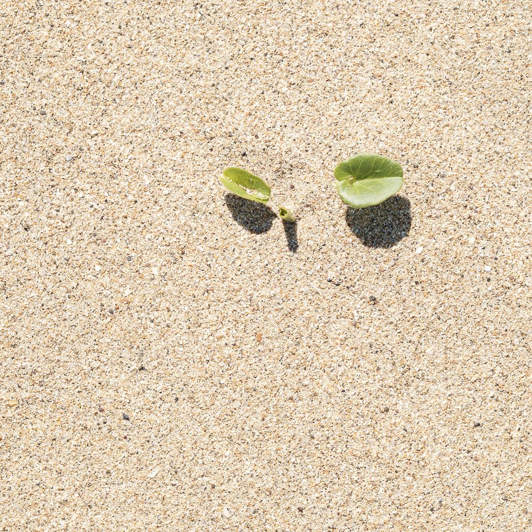 loneliness_soledad_rodiles_fotografico-0438-2 2