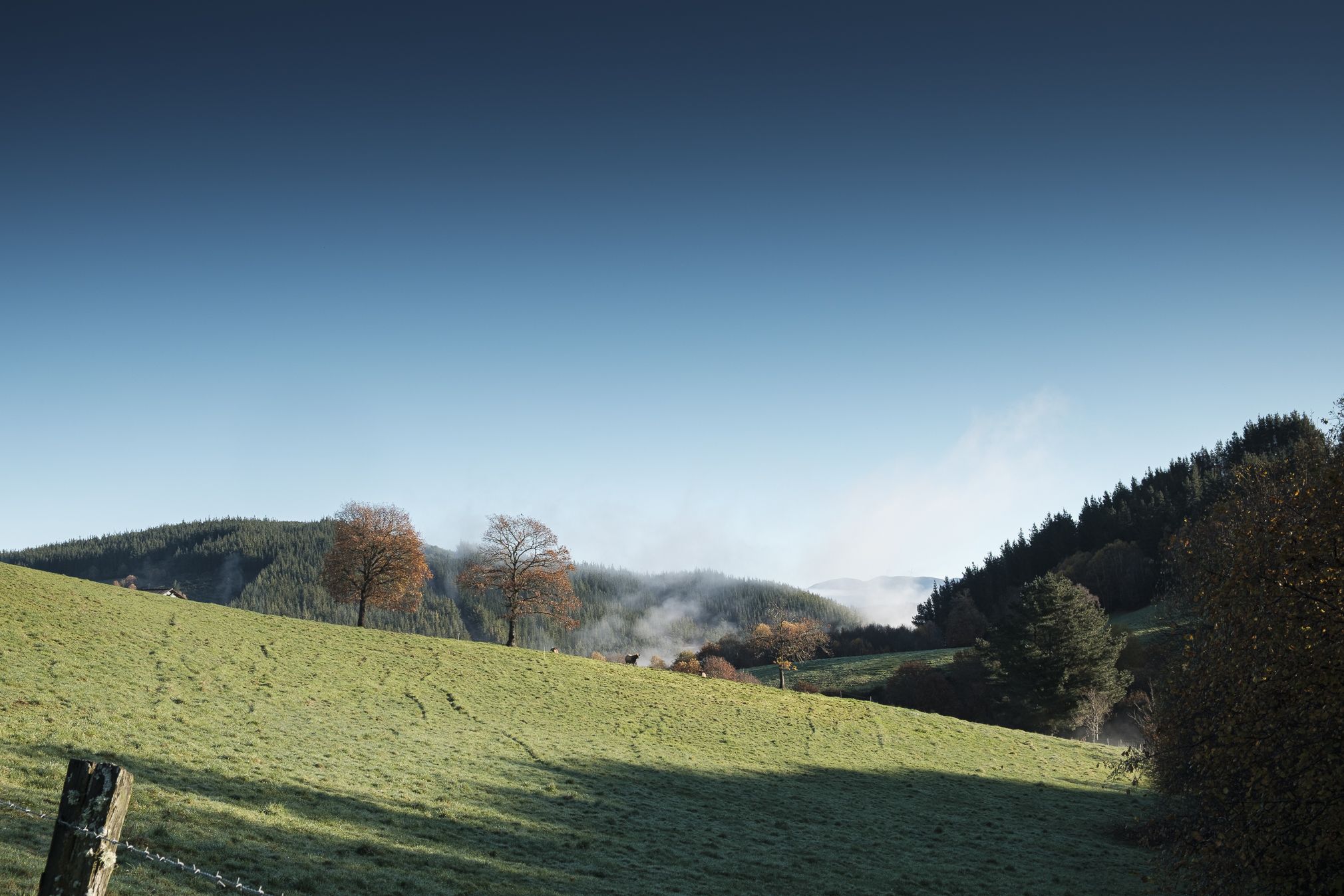 paisaje_oscos_web_fotografico-3141