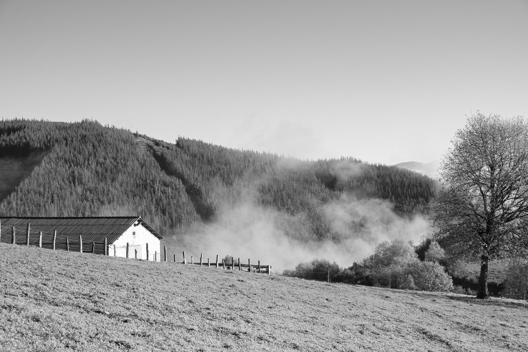 paisaje_oscos_web_fotografico-3155-2