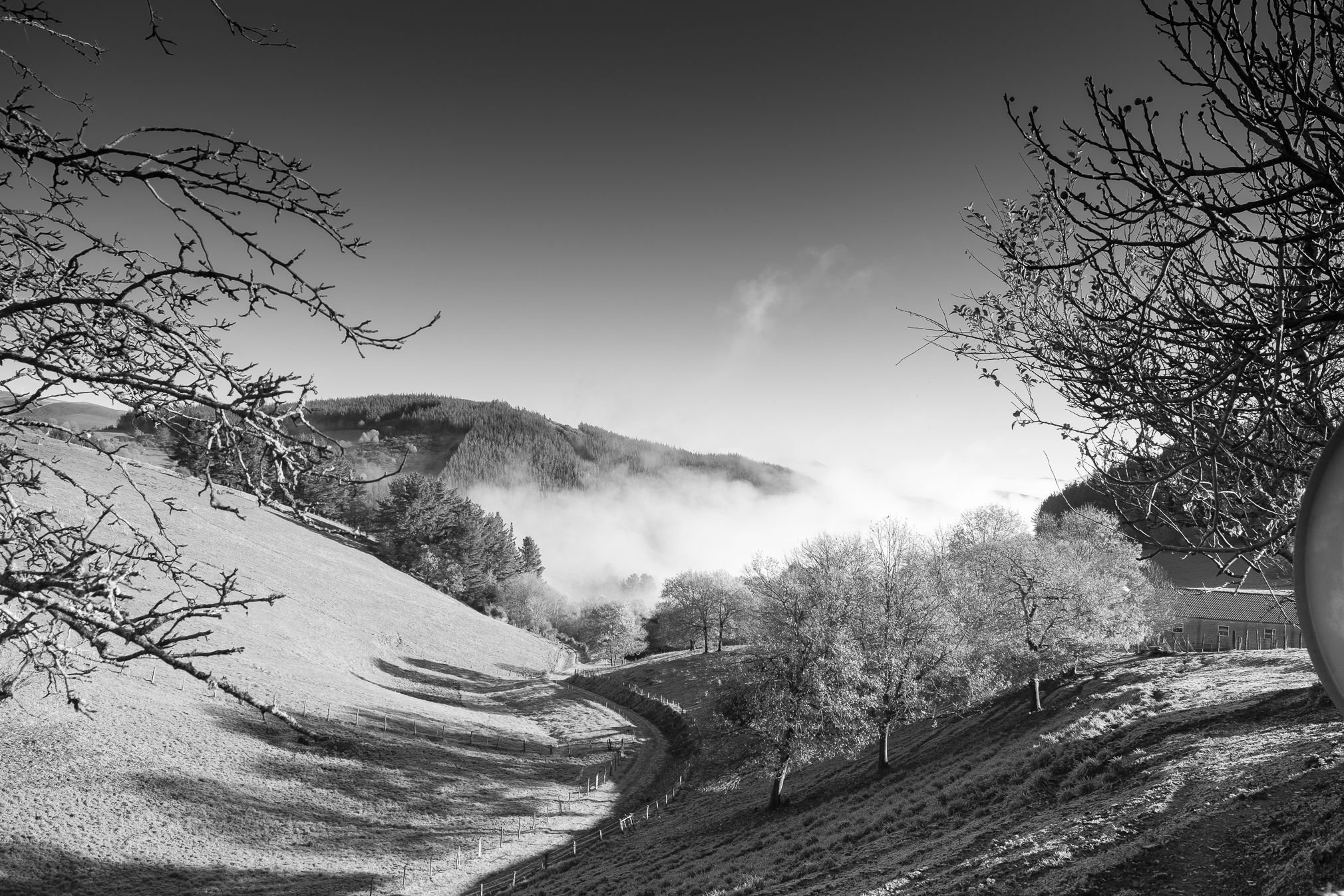 paisaje_oscos_web_fotografico-3159-2