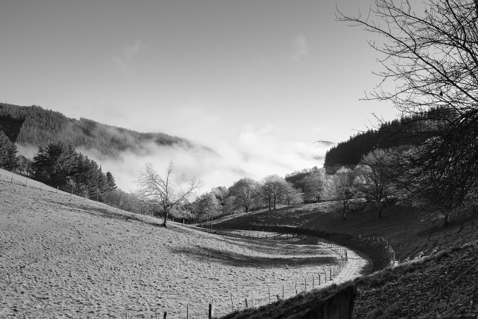 paisaje_oscos_web_fotografico-3162-2