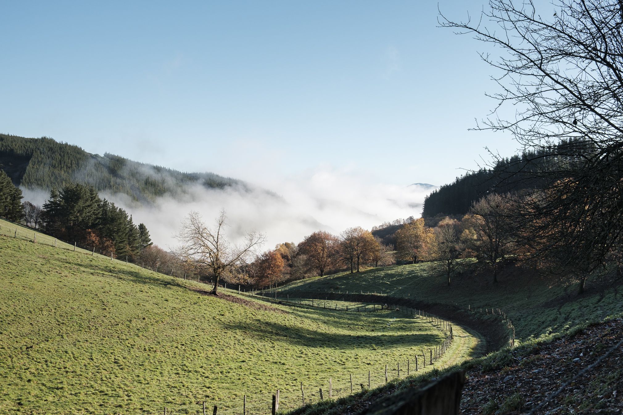 paisaje_oscos_web_fotografico-3162